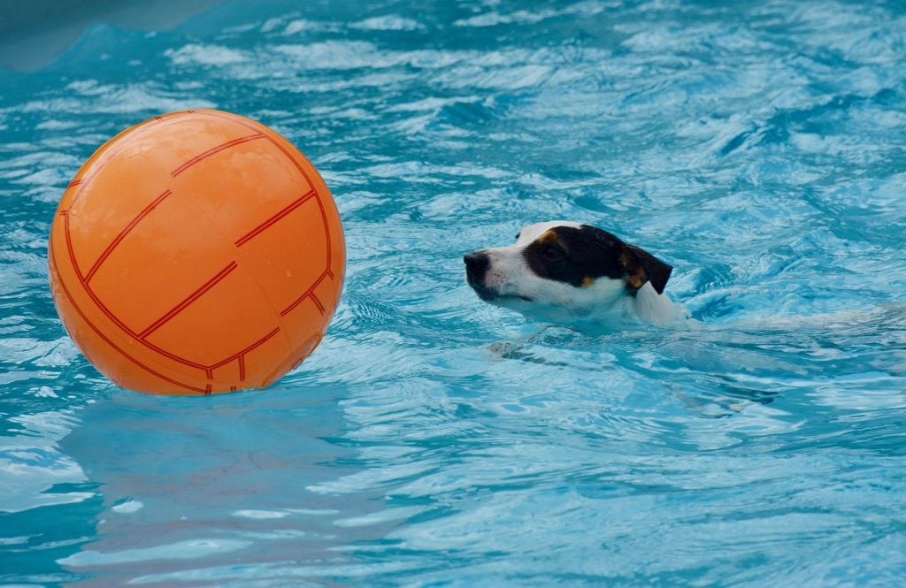 Pool Safety Inspections Banksia Beach