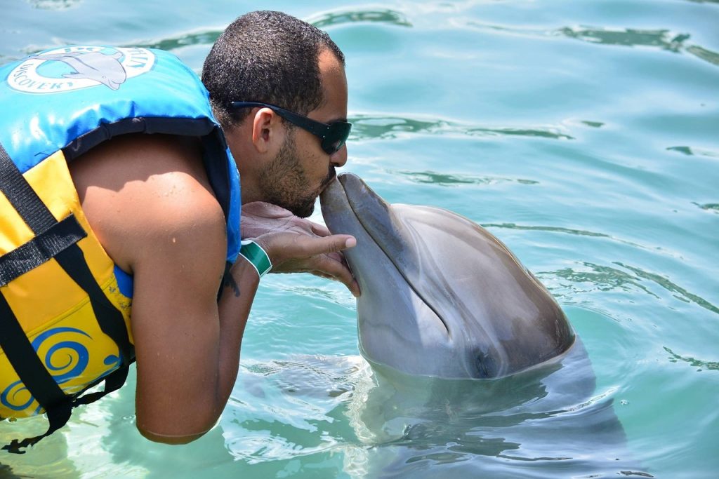 Pool Safety Inspections Belli Park