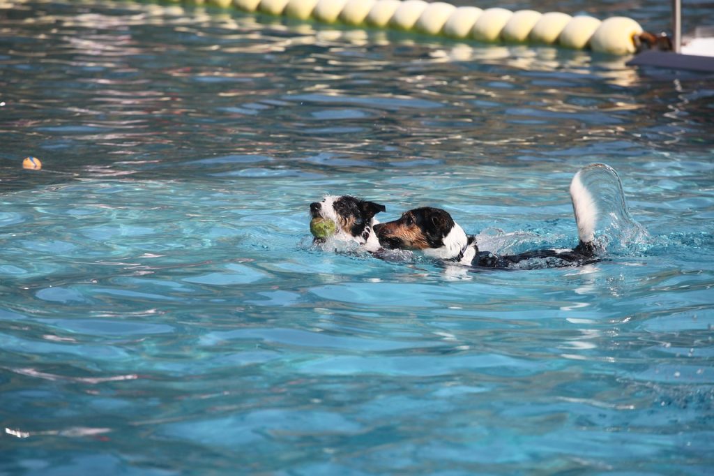 Pool Safety Inspections Biggera Waters