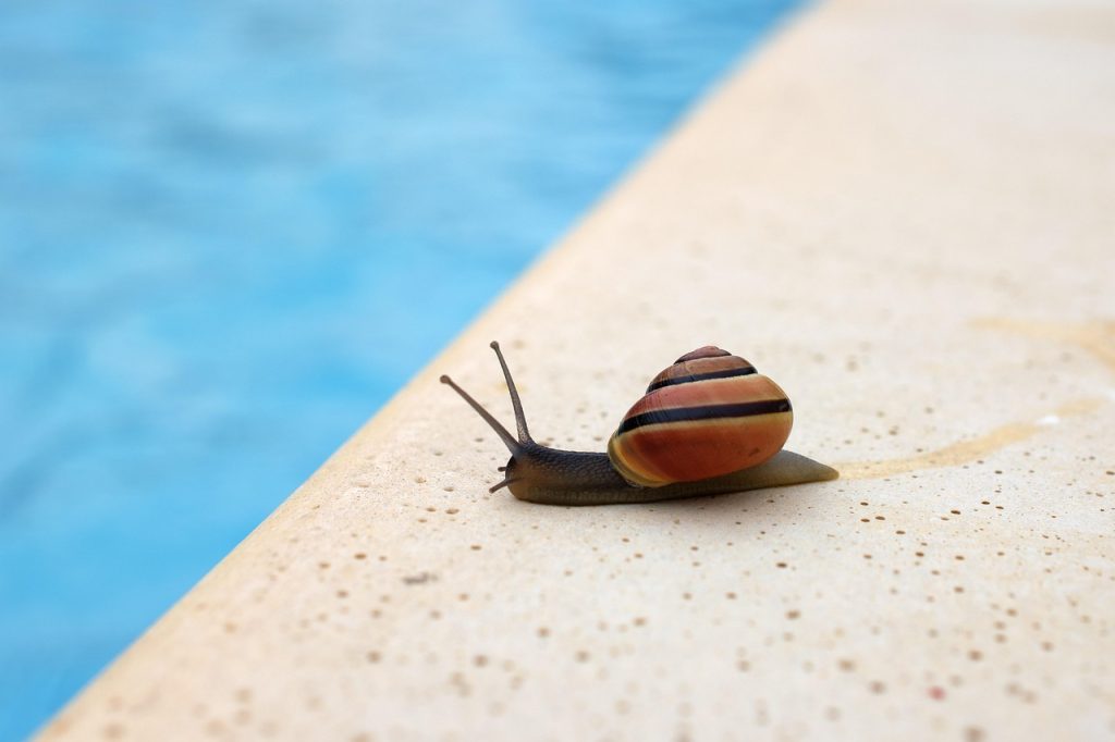 Pool Safety Inspections Diamond Valley