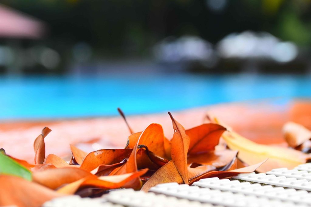 Pool Safety Inspections KurabyLarapinta