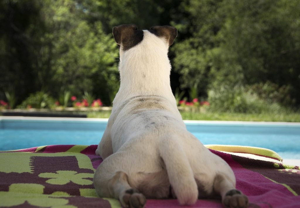 Pool Safety Inspections Mooloolaba